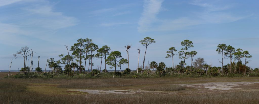 The Eagles Nest on a small islet out in the tidal plain.