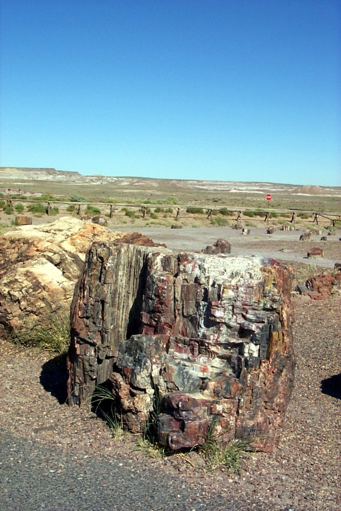 Here is a large log standing upright and showing clear origins as a tree. Behind, in the distance you can see the painted desert.