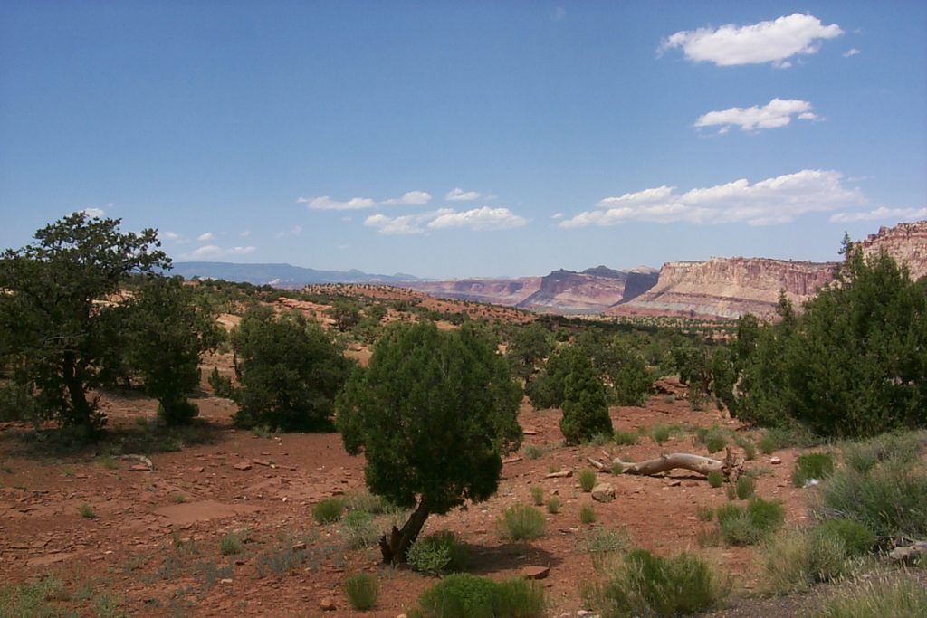This is a view north from the southern extent of the road along the reef.