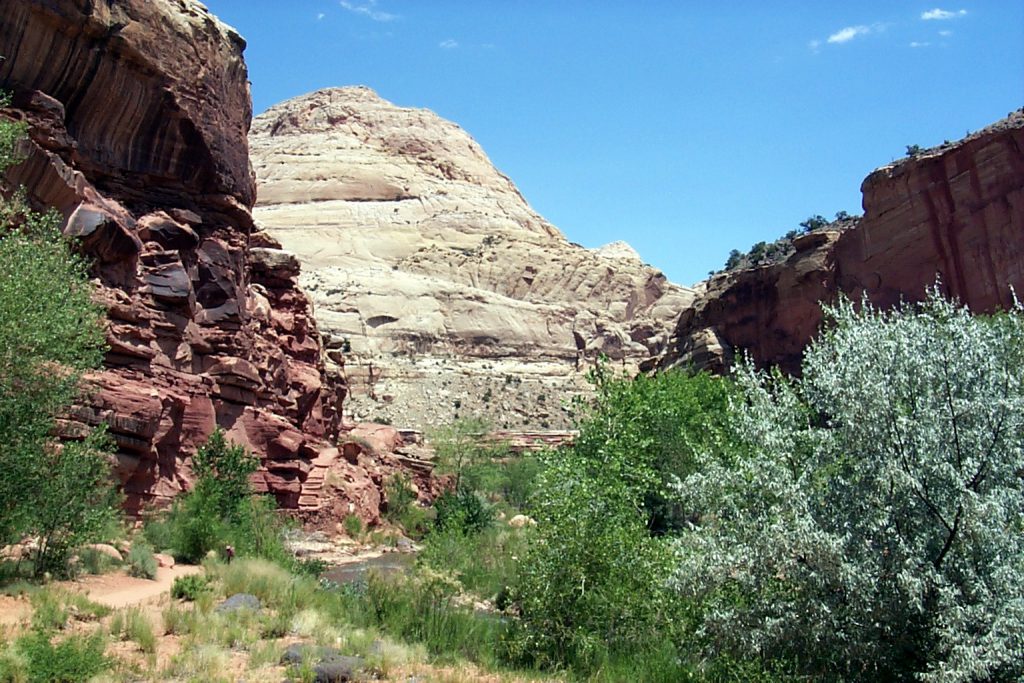 Here is a canyon cut through the reef. Many of the 'Capitol' features can be seen along this cut. The Capitol Dome is the light coloured dome in the centre of the frame. You can also see the Fremont river flowing at the bottom of the frame.