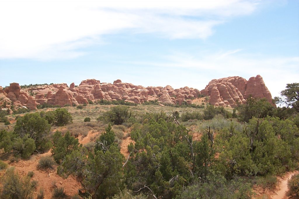 This photo looks back towards Devil's Garden from the trail to 'sand dune arch'. The campsite is beyond the row of fins shown here and many of the sites are nestled right between and among huge rock fins. It is these fins, of course, that eventually give rise to arches as they continue to erode.