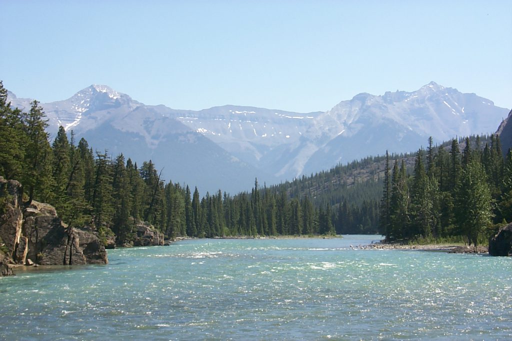 The Bow river after the falls.