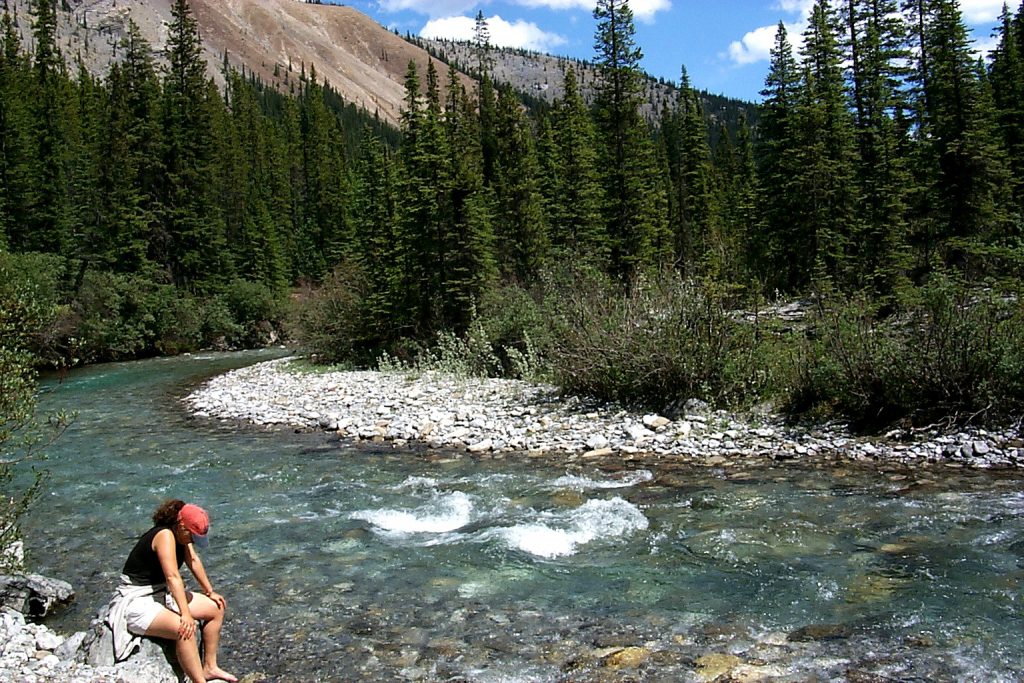 Resting beside the Bow river in Kananaskis.
