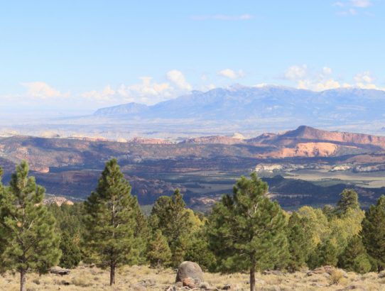Boulder Mountain 2017