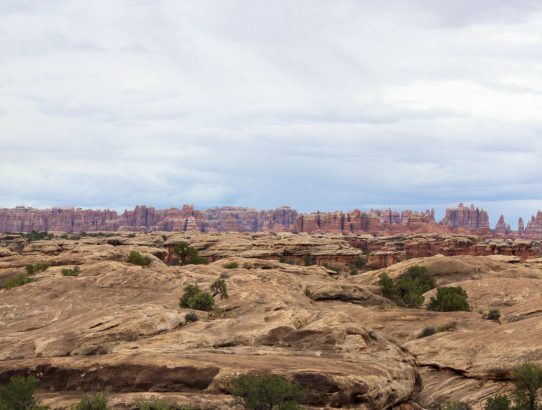 Canyonlands - Needles 2017