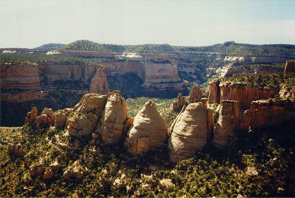 Here (Coke Ovens), two canyons have nearly merged. The remaining dividing wall has been eroded into 'oven' shaped domes.