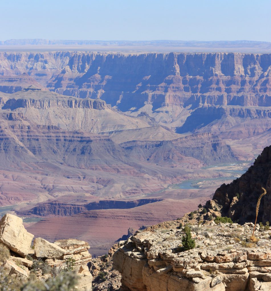Lipan Point and the Yuca. The Colorado River is visible, Also the Vermilion Hills in the far distance near Page and Marble Canyon. Note the small yuca plant with the enormous frond in the lower left of the picture.
