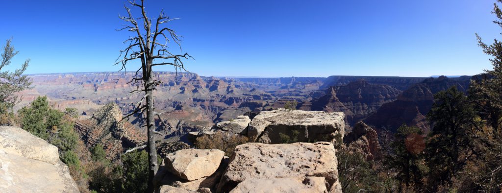 Pinyon, Cap Rock, and Morning Shadows. Also from Grandview Point. Just trying some composition....