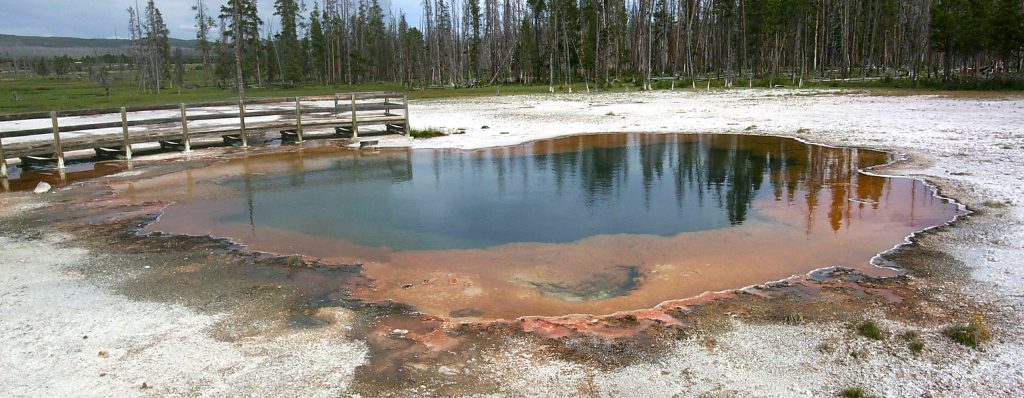 Pool in the West Geyser Basin