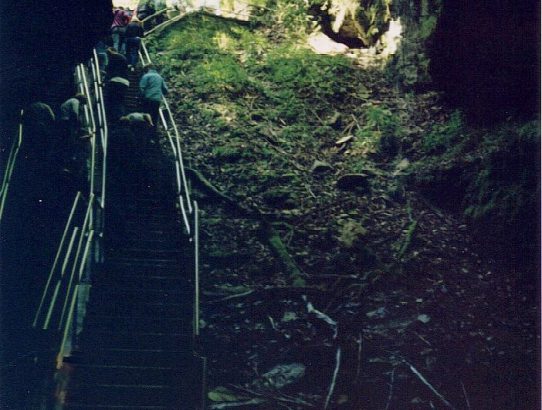 Mammoth Cave 1992