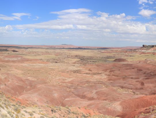 Petrified Forest 2017