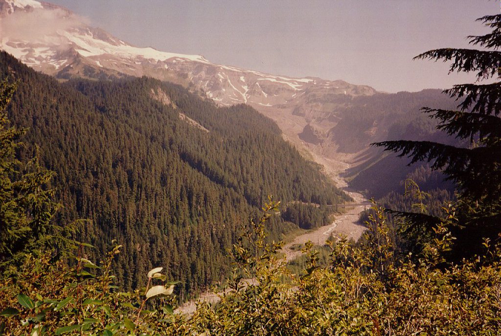This photo shows the Nisqually river from below looking up to Rainier on the top left. You can see the snake of the river in the flat of the valley. The moraine is hidden behind the hills centre as the river curves to the left to meet the Nisqually glacier on the site of the mountain.