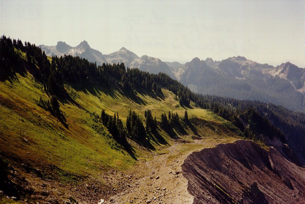 Here is the view looking back along the way we have climbed from the edge of the moraine. The trail runs along the edge of the moraine at the top but angles off and up the valley/meadow shown centre. The Nisqually river flows to the right of the photo.