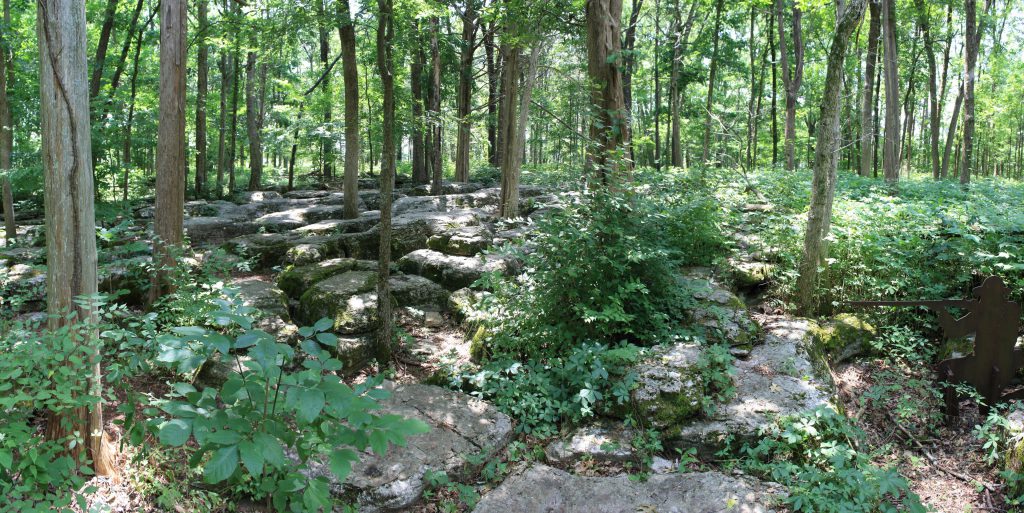 The defending troops were dug in among these flat rocks which offered excellent protection and allowed sharp shooters to defend against much larger numbers.