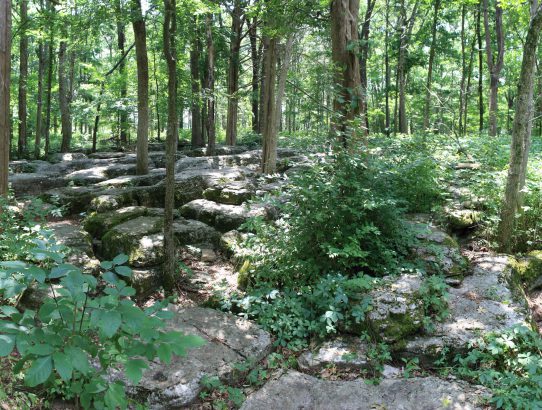 Stones River Battlefield 2018