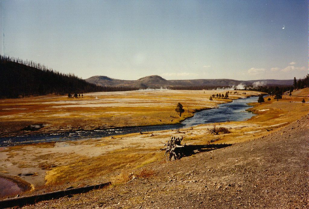 A view of the lower Geyser Basin in the distance across the river.
