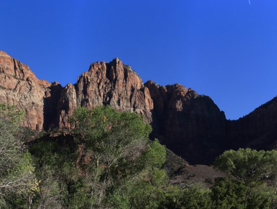 Zion National Park 2017