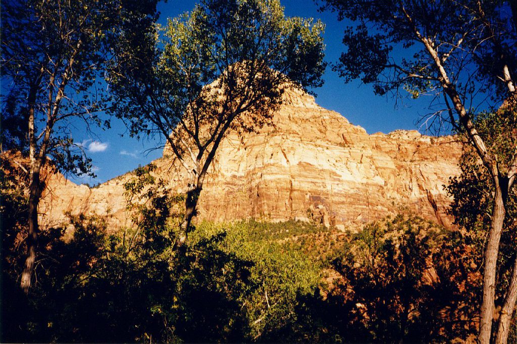 This is the view of the canyon wall from the South Campground. The trees are aspen trees and the leaves of the aspen make a very loud noise (like heavy rain) when there is wind -- basically, they kept us awake most of the night!